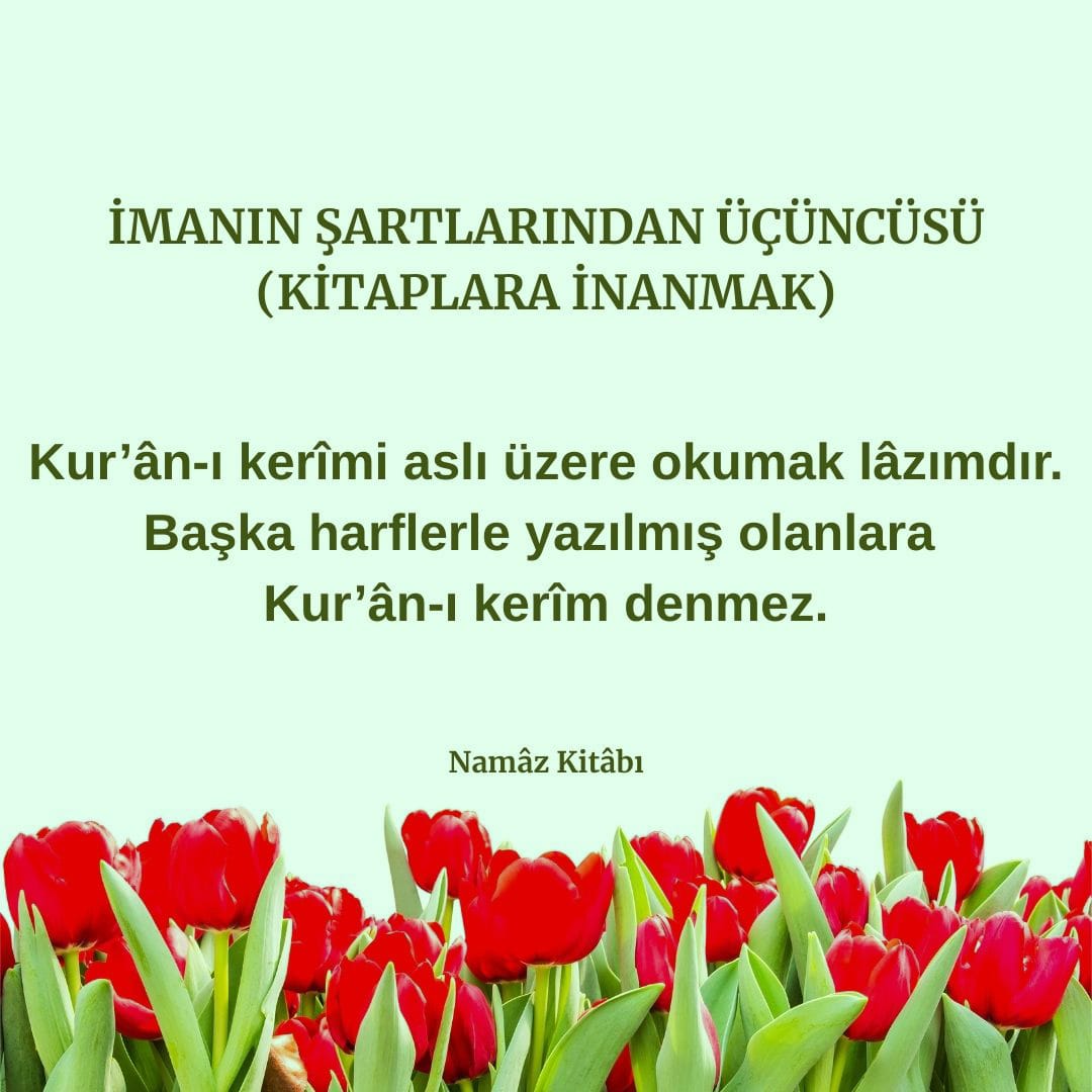 Kitaplara İnanmak (10)